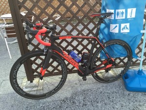 イタリアンカラー